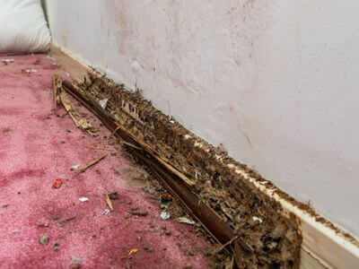 About Water Damage Restoration Long Lake - water damage restoration experts in Long Lake